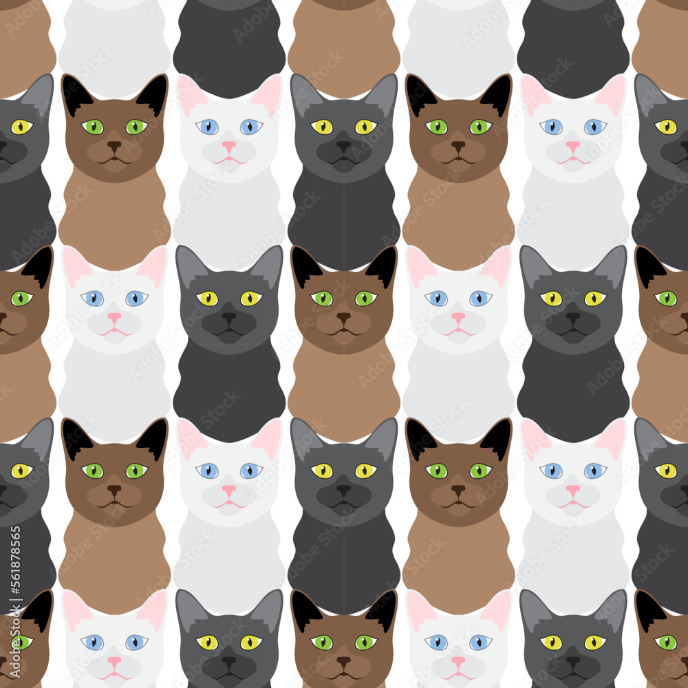 Beautiful brown, white and black cats. Animal seamless pattern, background, ornament, print. Vector illustration