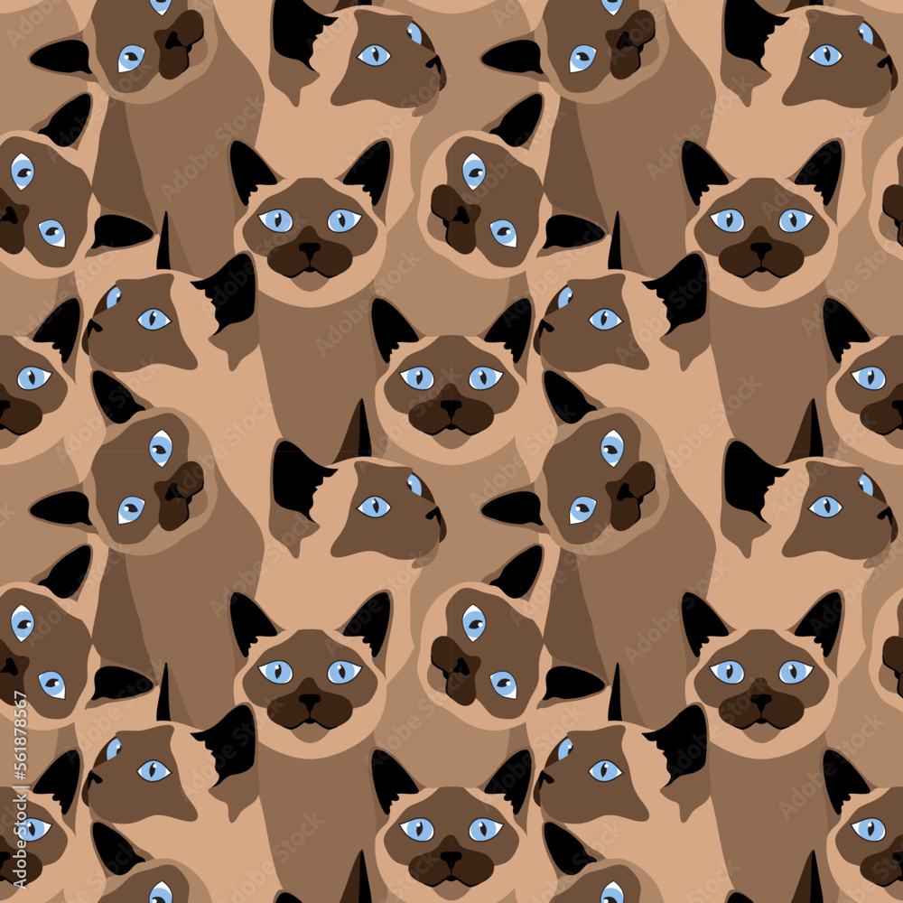 Obraz premium Beautiful brown Siamese cats with blue eyes. Animal seamless pattern, background, print. Vector illustration