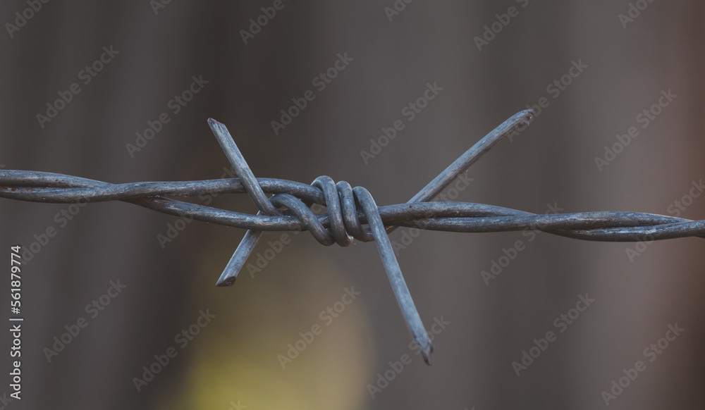Security Fence with barbed iron Security Fence with barbed iron