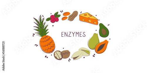 Enzymes-containing food. Groups of healthy products containing vitamins and minerals. Set of fruits  vegetables  meats  fish and dairy