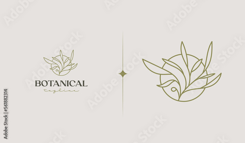 Botanical Plant Logo Template. Universal creative premium symbol. Vector illustration. Creative Minimal design template. Symbol for Corporate Business Identity