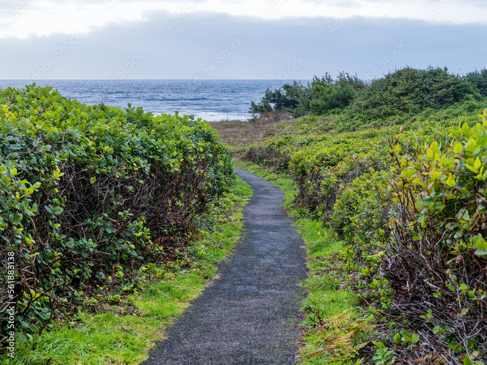 The Captain Cook Trail runs above the Pacific Ocean at Cape Perpetua State Park, Oregon, USA