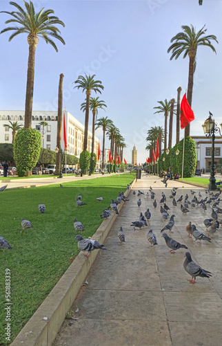 city ​​center of Rabat Morocco