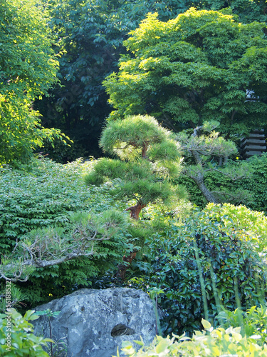 Obraz na płótnie Japanese-style garden, using small architectural forms and natural landscape. Design and architectural solutions in the organization of park space. w salonie