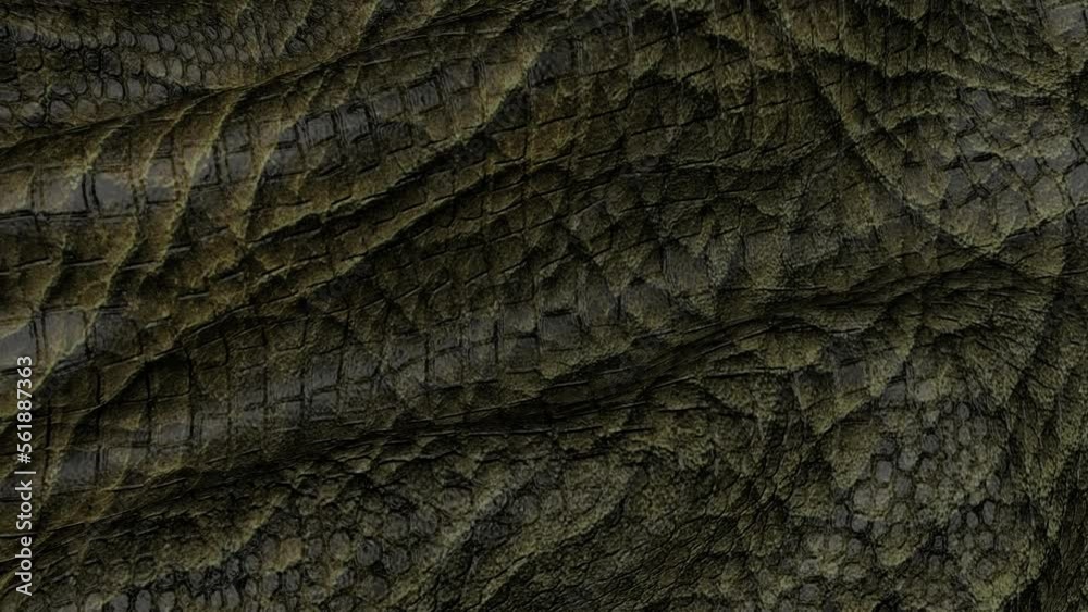 Background of the snake leather canvas is in motion. Backdrop of the reptile skin. Background of the snake leather canvas is in motion. Backdrop of the reptile skin.