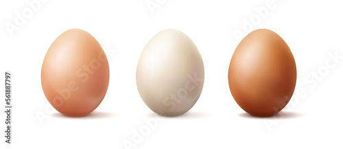 3d realistic vector icon illustration. Light brown, brown and white organic  egg. Isolated on white background.