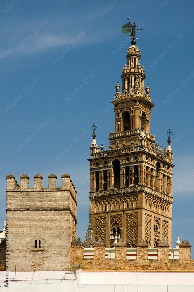 The Giralda tower in Seville, Spain, seen from the grounds of the castle.