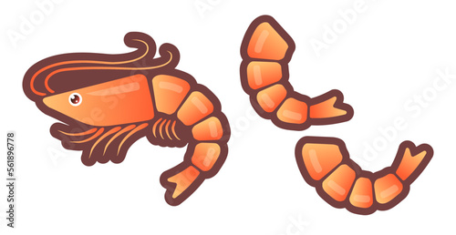 Vector illustration of shrimp in flat style.