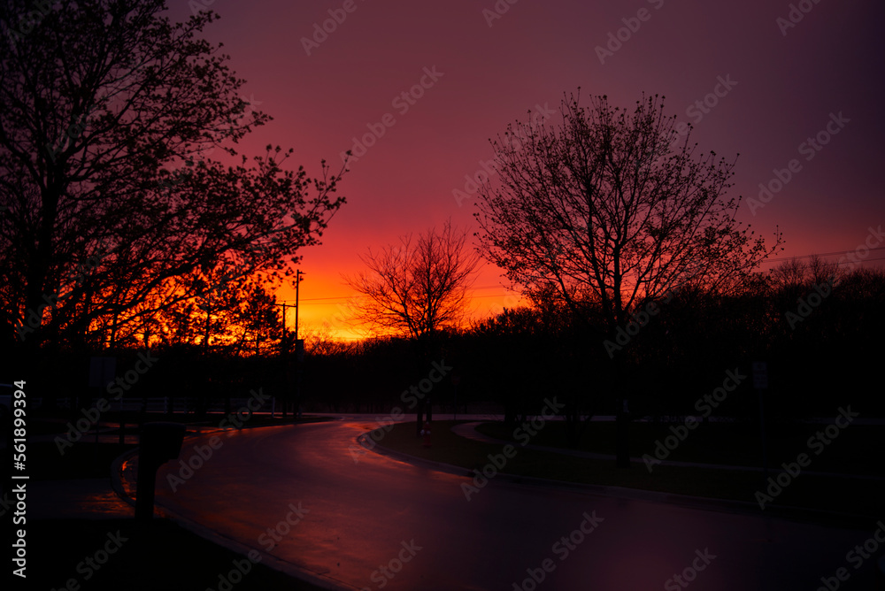 Sunset in the park Sunset in the park
