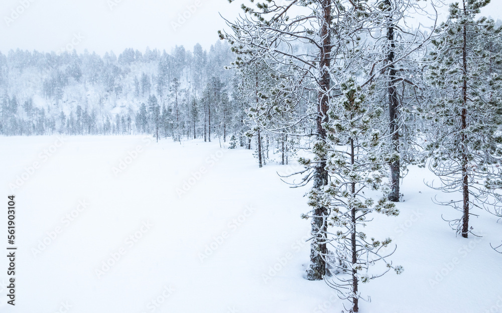 Winter landscape with snow covered trees at Lake Inari, Finland, Lapland. Winter landscape with snow covered trees at Lake Inari, Finland, Lapland.