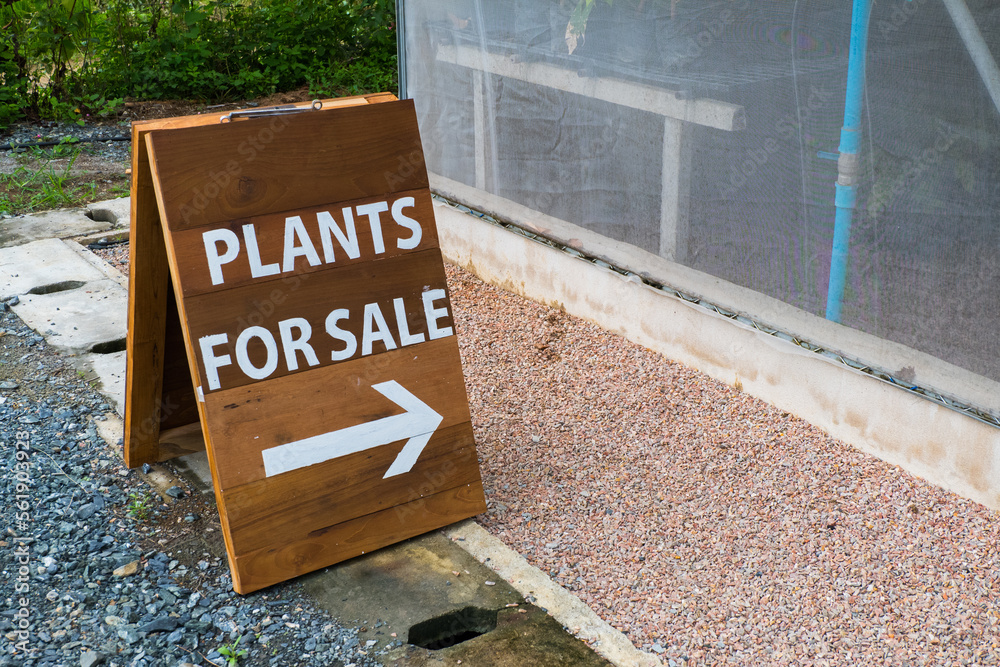 Obraz premium Plant For Sale sign on floor at farm.