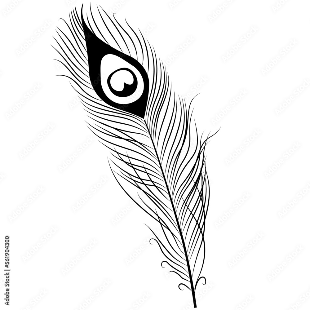 Peacock Feather. icon illustration vector. Peacock Feather SVG Stock Vector