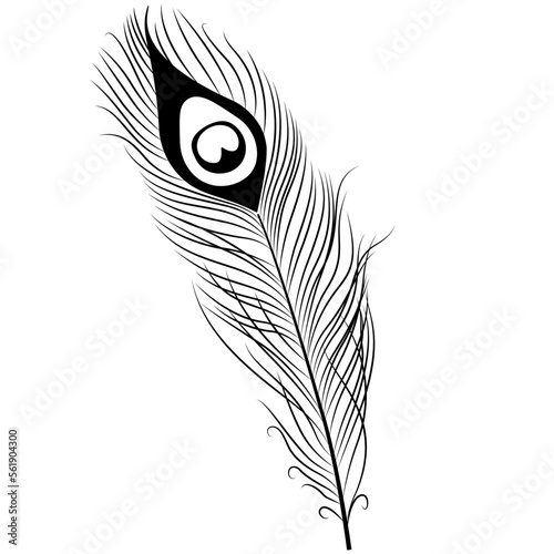Peacock Feather. icon illustration vector. Peacock Feather SVG 
