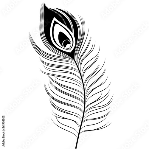 Black Peacock Feather SVG. Vector illustration