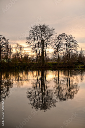 See bei Sonnenuntergang mit Spiegelung der Sonne und Bäume im Wasser, Grafenrheinfeld bei Schweinfurt, Franken, Bayern, Deutschland
