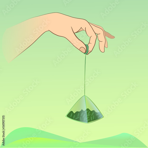 Green tea bag in hand. Vector illustration