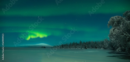 Photography The aurora borealis above Levi in Finland