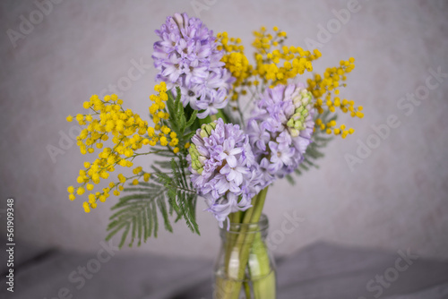 Fototapeta Naklejka Na Ścianę i Meble -  Blumenstrauß Hyazinthen und Mimose, Blumen im Frühling in blau und gelb