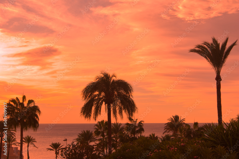 Obraz premium Ein farbenfroher Sonnenaufgang mit Palmen an der Costa del Sol
