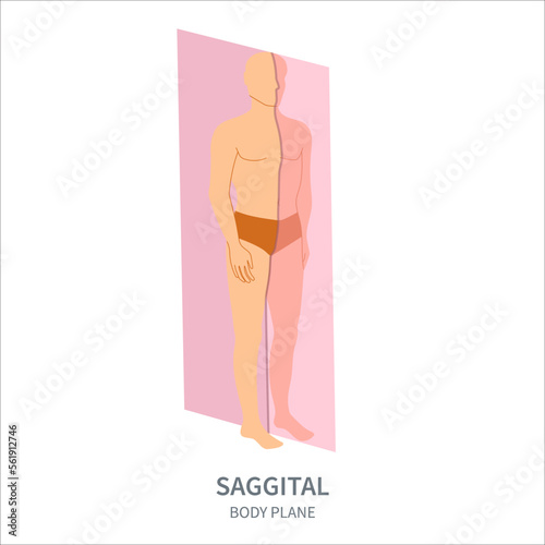 Sagittal scanning plane shown on a male body. Human body anatomical position diagram. Probe orientation infographics. Medical sonography concept. Vector illustration. photo