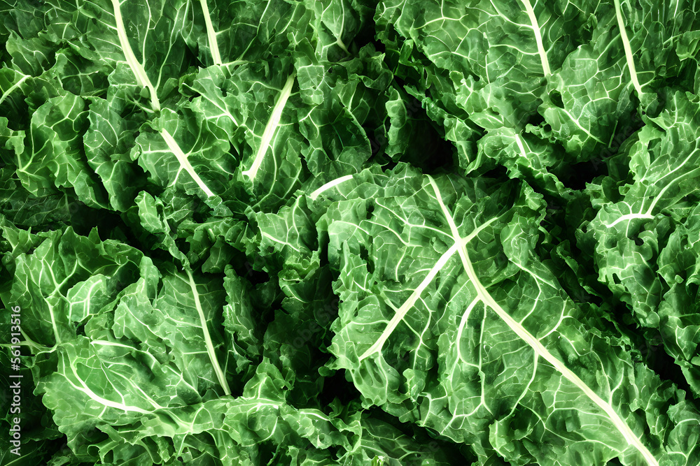 Illustration of cooked collard greens, generative ai Illustration of cooked collard greens, generative ai