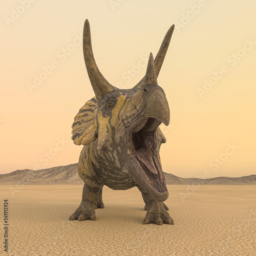 triceratops is angry in the desert on the afternoon