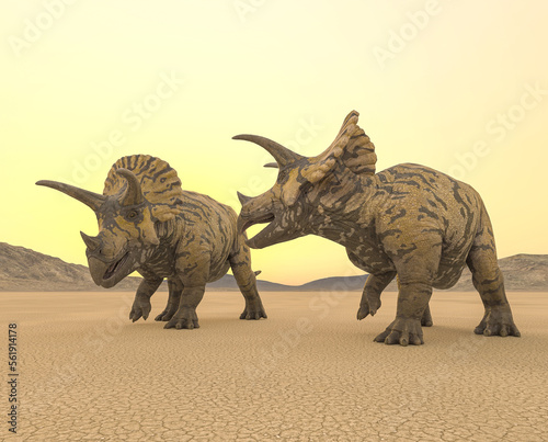 two triceratops are walking in the desert on the afternoon