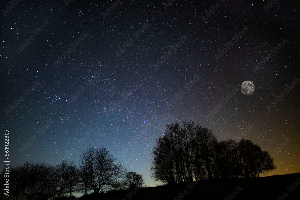 full moon over the forest