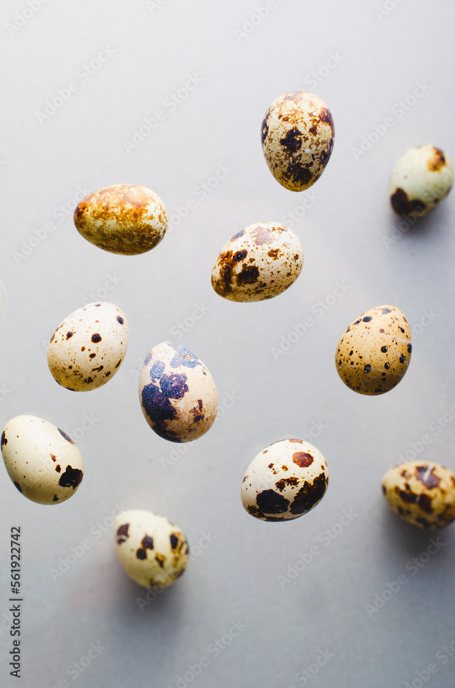 Quail Eggs on Beige Background, Easter Concept Quail Eggs on Beige Background, Easter Concept