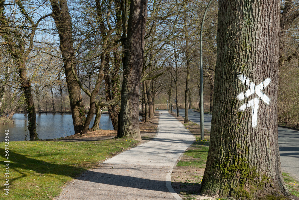 Markierung auf dem Baum, Wanderweg, Wadersloh, Westfalen