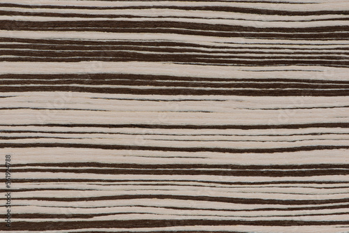 Texture of natural wood with horizontal black and white stripes. Zebra wood texture close up. High quality wooden background