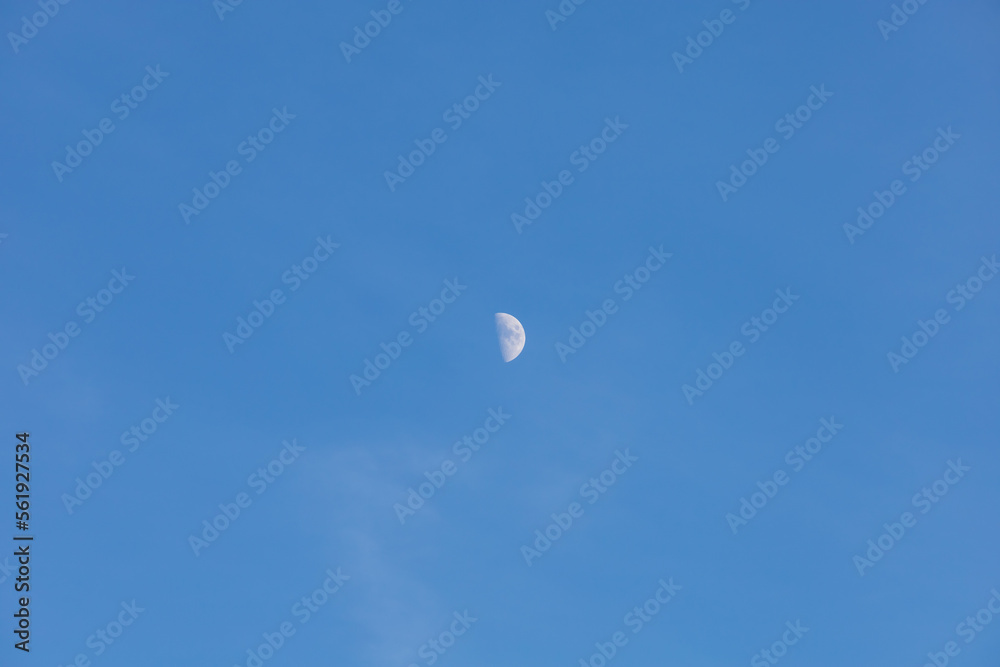 Beautiful round rising moon in the blue sky. Beautiful round rising moon in the blue sky.