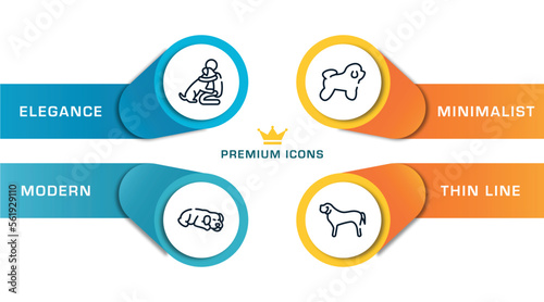 dog breeds fullbody outline icons with infographic template. thin line icons such as null, dog sleeping, bichon frise, english mastiff vector.