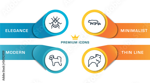 dog breeds fullbody outline icons with infographic template. thin line icons such as null, bichon, snowshoe cat, pomeranian vector.