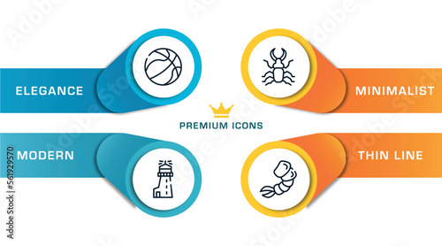 nature outline icons with infographic template. thin line icons such as basketball ball, lighthouse, stag beetle, shrimp vector.