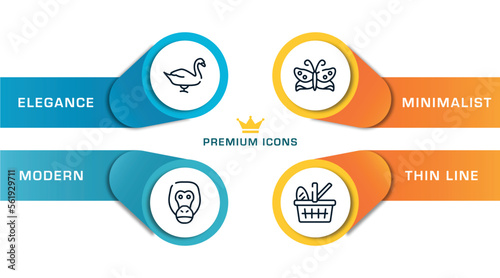 zoo outline icons with infographic template. thin line icons such as swan, orangutan, butterflies, picnic basket vector.