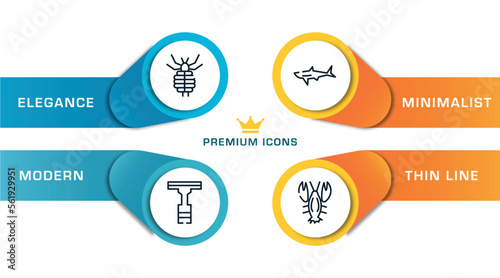 nature outline icons with infographic template. thin line icons such as louse, null, shark, lobster vector.