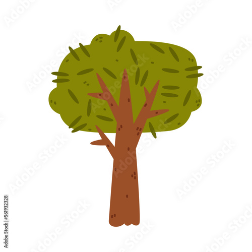 Tree with Trunk and Lush Green Crown Growing in Park or Woodland Vector Illustration