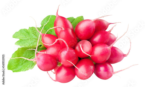 Bunch of red radishes cut out