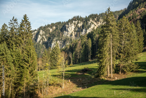 La Combe Gréde dans le Parc Chasseral ( Canton de Berne ) photo