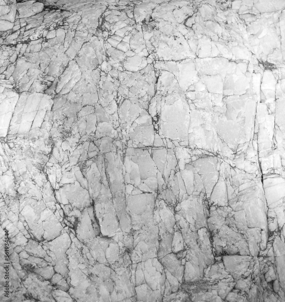 Close-up Monochrome Stone Texture Close-up Monochrome Stone Texture