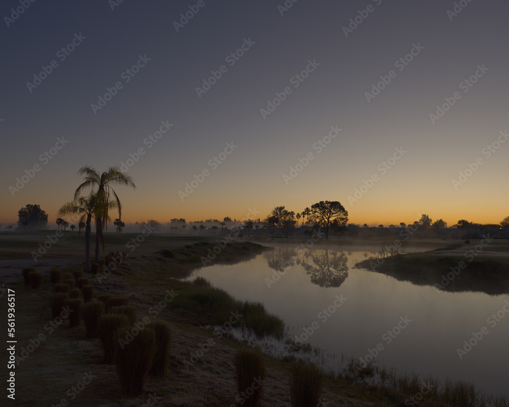 Obraz premium Morning Dew