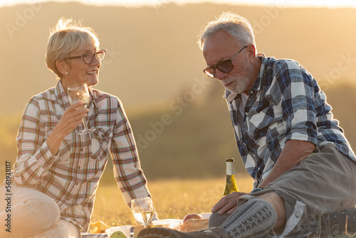 Cheerful elderly couple enjoying picnic in the nature, sitting on the grass, drinking wine, toasting, having good time. Older people having romance.
