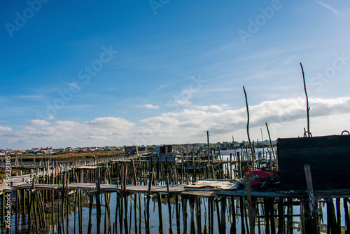 boats in the harbor