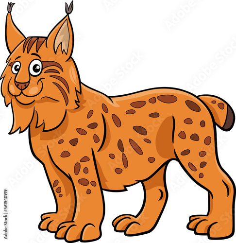 funny cartoon lynx wild animal character