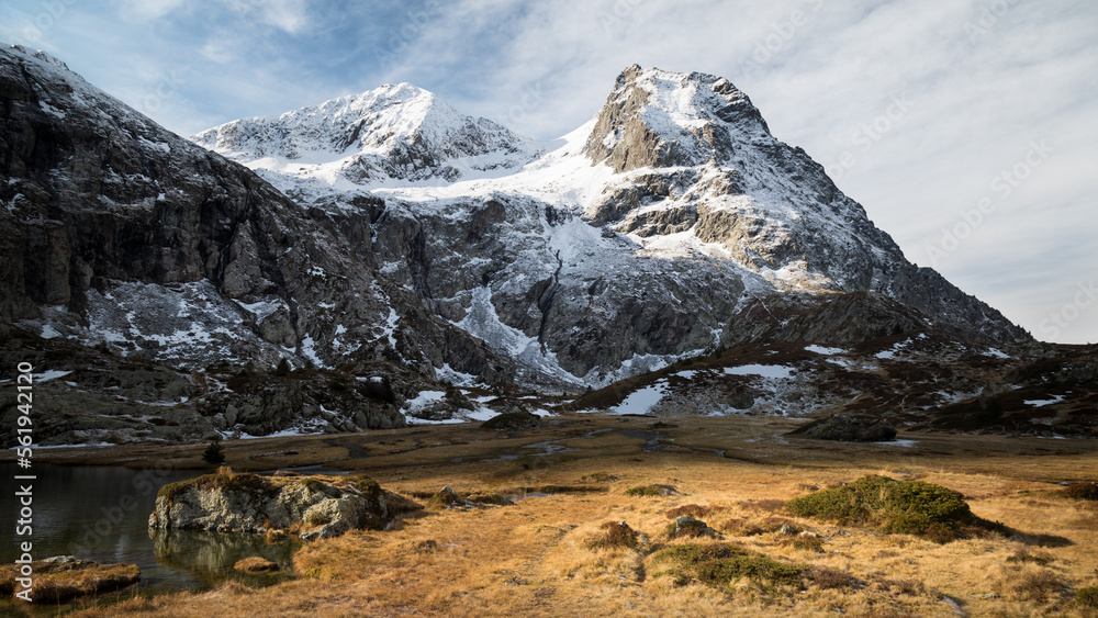 Obraz premium montains covered by snow with yellow pasture