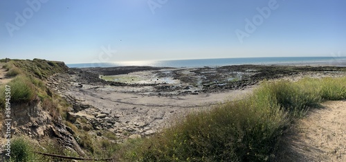 Quadro em tela Pointe aux oies