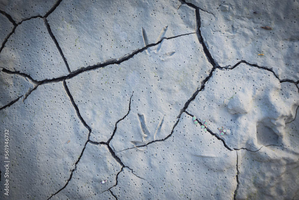 Obraz premium Cracked earth in the top view for the background or graphic design with the concept of drought and death.