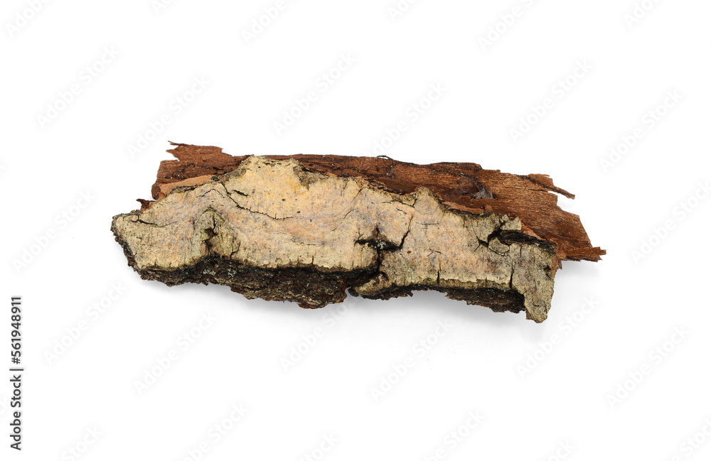 Tree bark isolated on a white background. piece of bark 