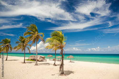 Caribbean beach view with palms and ocean